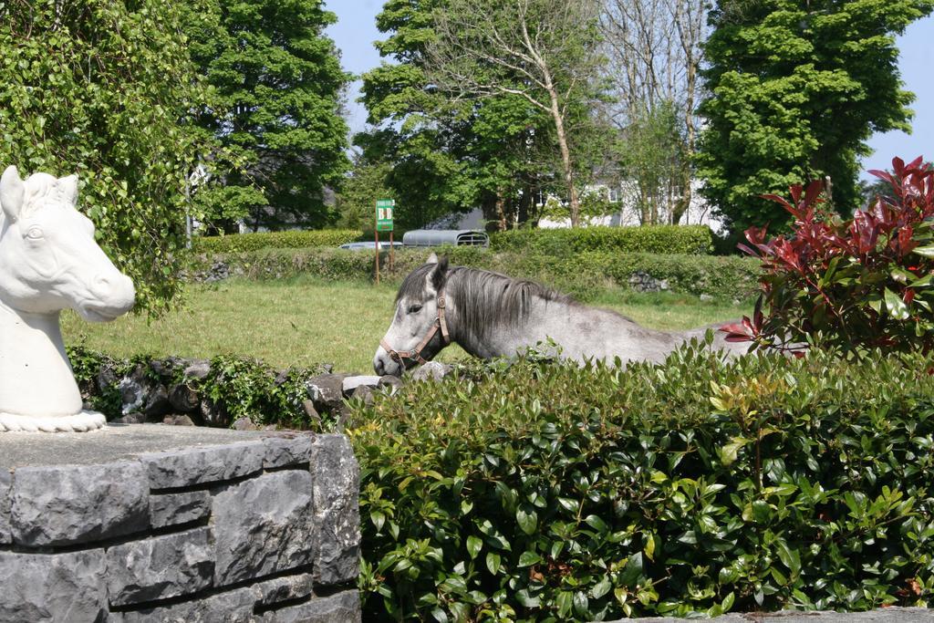 Carrowntober House B & B Oughterard Dış mekan fotoğraf
