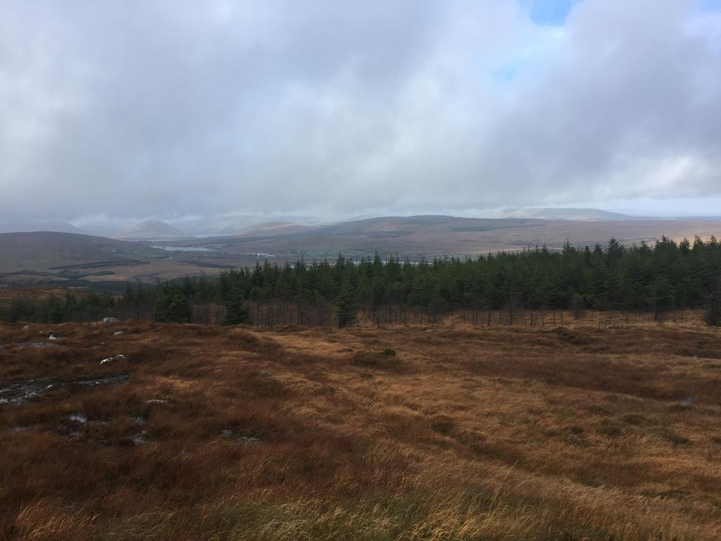 Carrowntober House B & B Oughterard Dış mekan fotoğraf